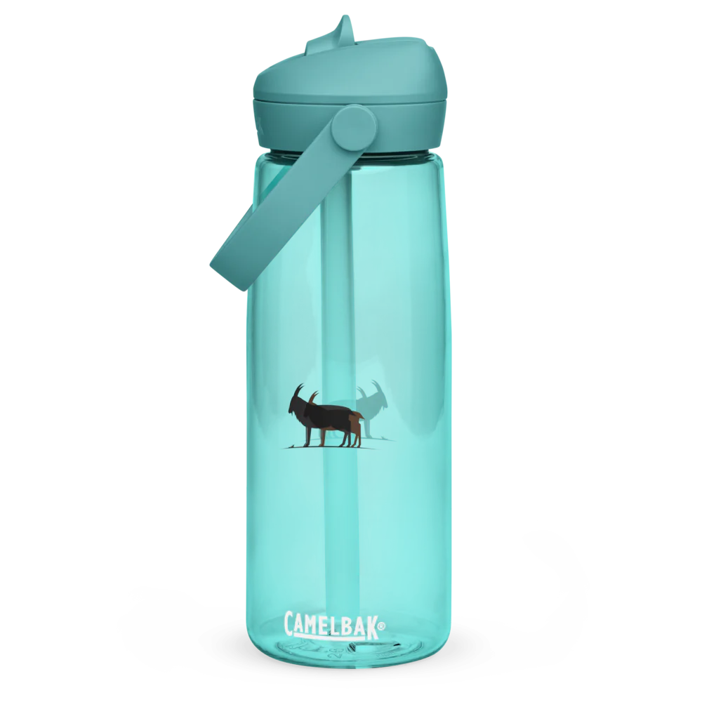 Flip Straw Water Bottle | CamelBak Thrive®