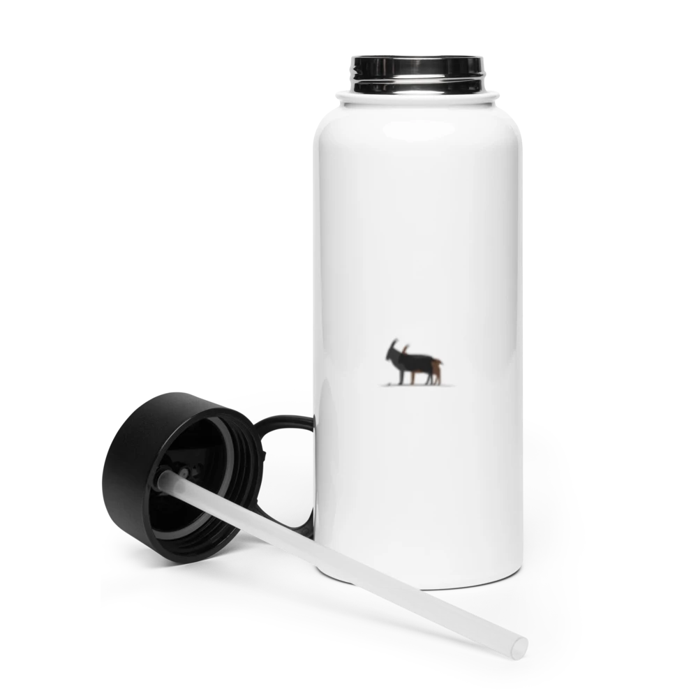 Stainless Steel Water Bottle with a Straw Lid