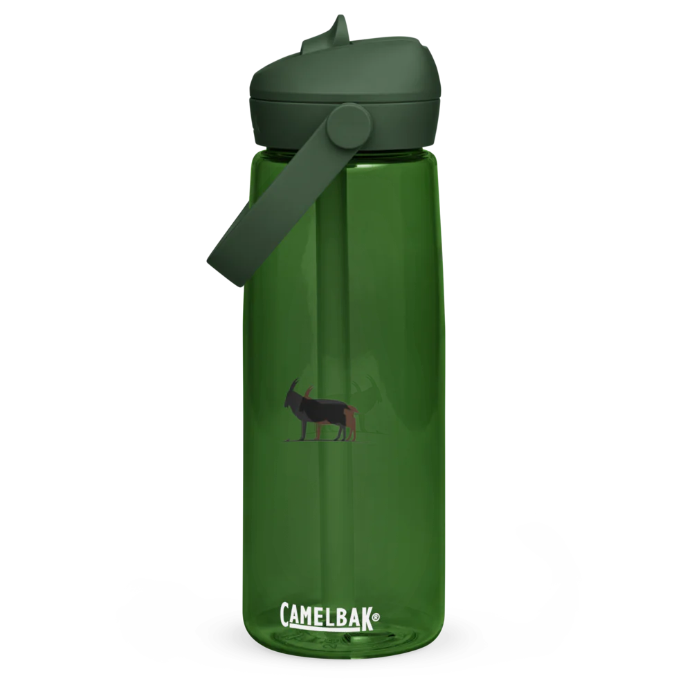 Flip Straw Water Bottle | CamelBak Thrive®