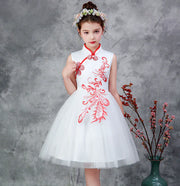 Children's Choir Performance Dress