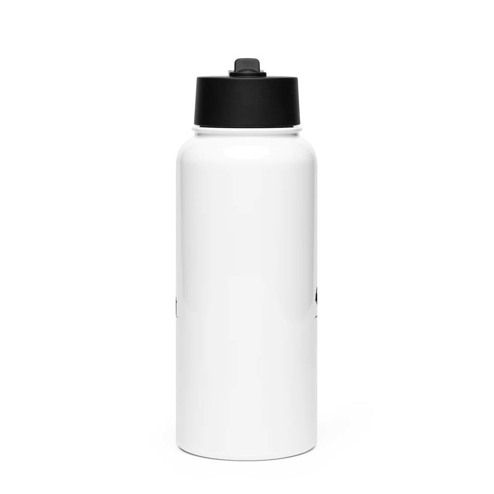 Stainless Steel Water Bottle with a Straw Lid