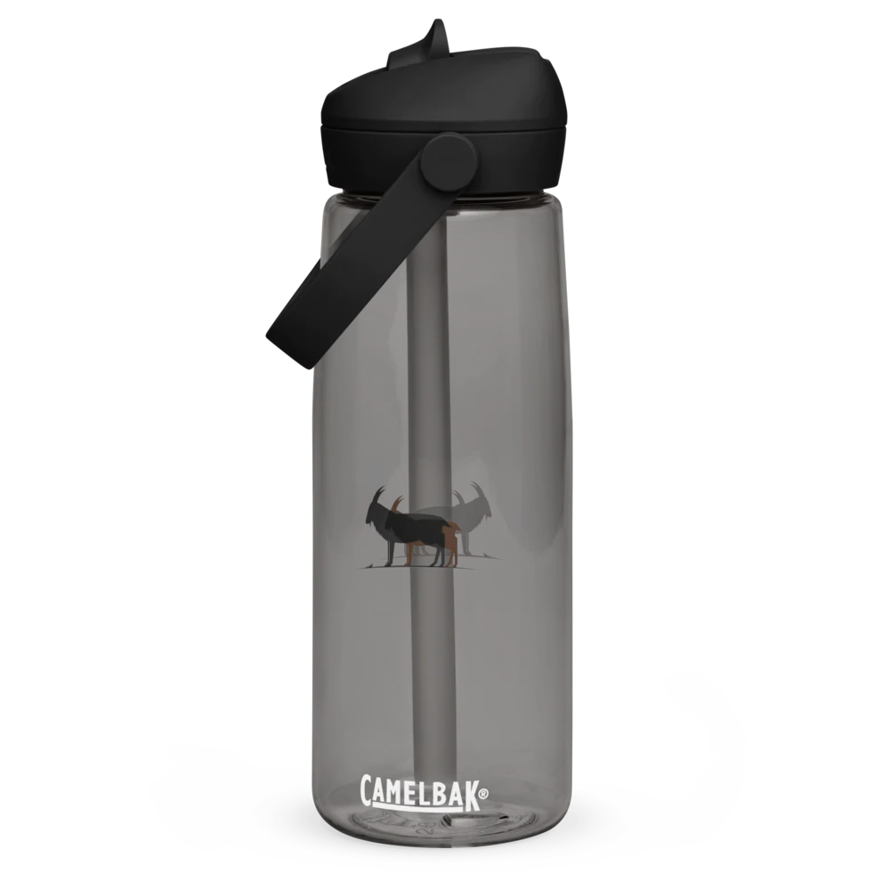 Flip Straw Water Bottle | CamelBak Thrive®