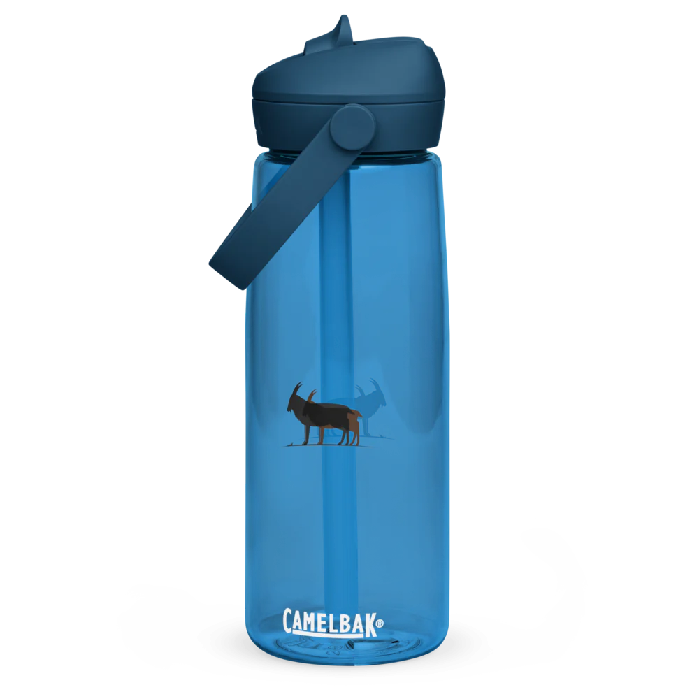Flip Straw Water Bottle | CamelBak Thrive®