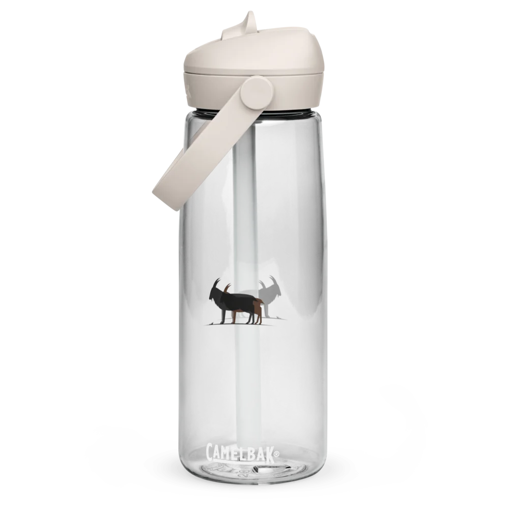 Flip Straw Water Bottle | CamelBak Thrive®