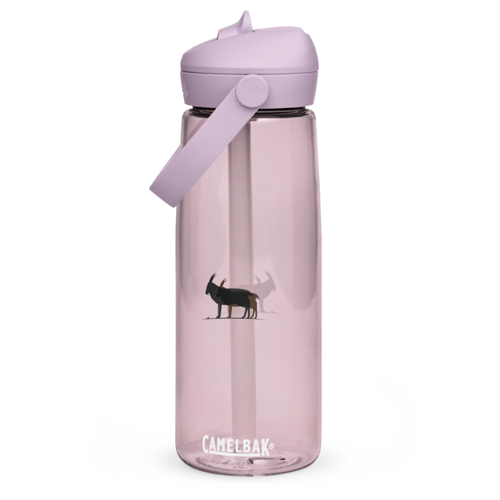 Flip Straw Water Bottle | CamelBak Thrive®