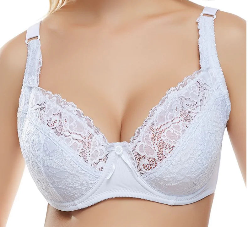 Lace Bra Ultra-Thin Sexy Lingerie Push-Up Bra